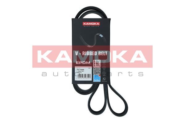 Cinghia Poly-V - 7017022 KAMOKA