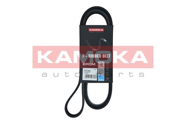 V-Ribbed Belt - 7017023 KAMOKA