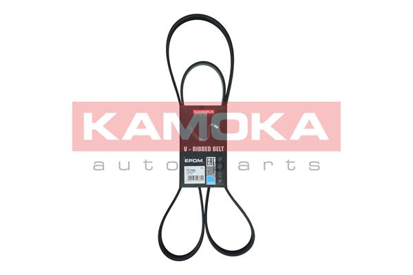 V-Ribbed Belt - 7017025 KAMOKA