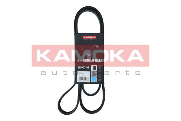 Cinghia Poly-V - 7017026 KAMOKA