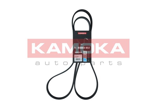 V-Ribbed Belt - 7017030 KAMOKA