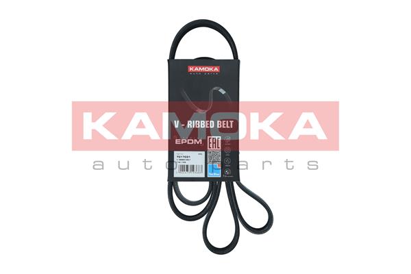 V-Ribbed Belt - 7017031 KAMOKA
