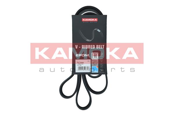 V-Ribbed Belt - 7017033 KAMOKA