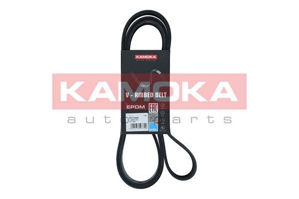 V-Ribbed Belt - 7017035 KAMOKA