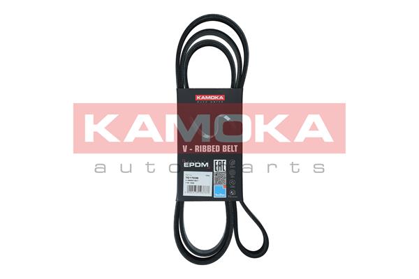 V-Ribbed Belt - 7017036 KAMOKA