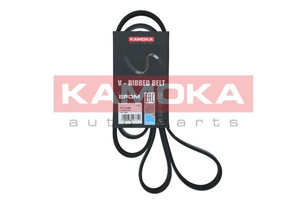 V-Ribbed Belt - 7017038 KAMOKA