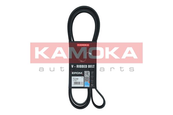 V-Ribbed Belt - 7017039 KAMOKA