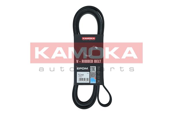 Cinghia Poly-V - 7017045 KAMOKA