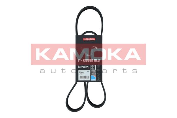 V-Ribbed Belt - 7018001 KAMOKA