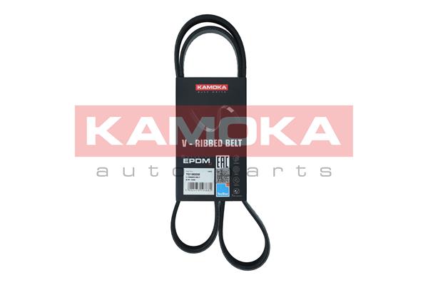 V-Ribbed Belt - 7018002 KAMOKA