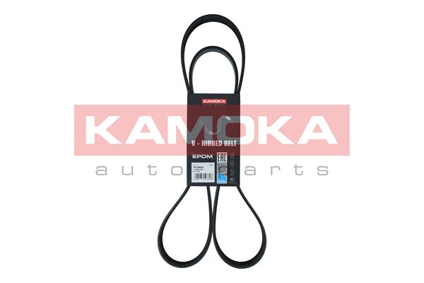 Cinghia Poly-V - 7018003 KAMOKA