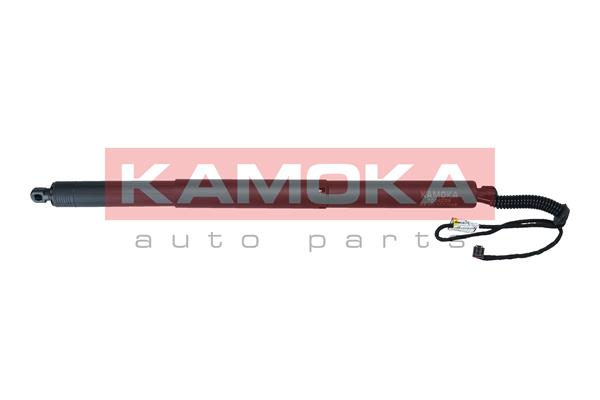 galinių durų elektros variklis - 7094059 KAMOKA