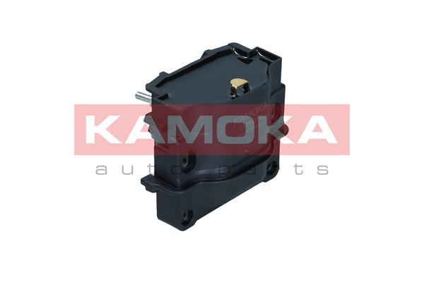 ritė, uždegimas - 7120010 KAMOKA