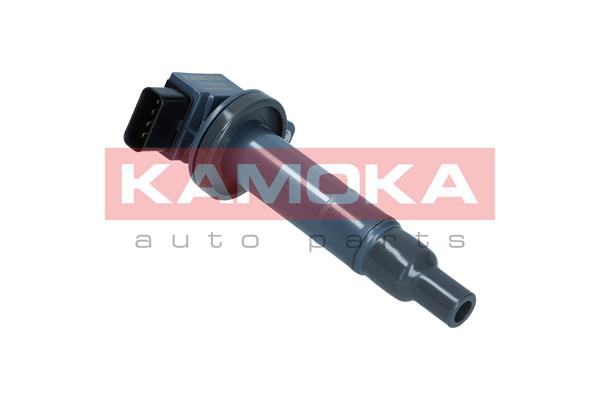 ritė, uždegimas - 7120040 KAMOKA