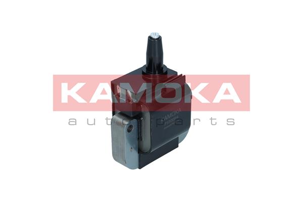 ritė, uždegimas - 7120064 KAMOKA