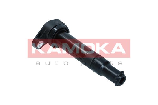 ritė, uždegimas - 7120076 KAMOKA