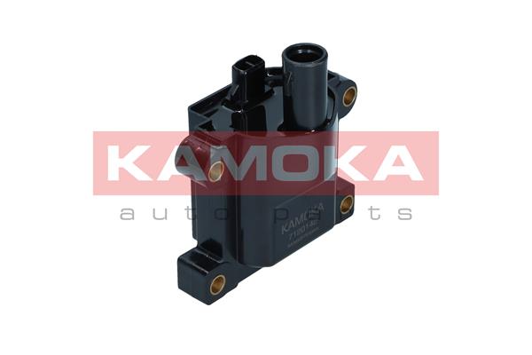 ritė, uždegimas - 7120142 KAMOKA