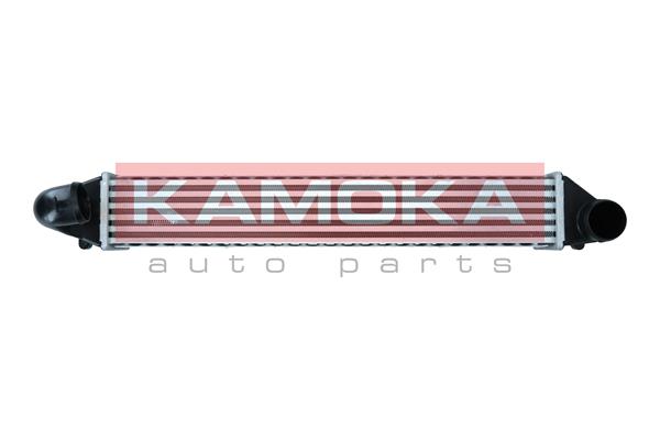tarpinis suslėgto oro aušintuvas, kompresorius - 7750038 KAMOKA