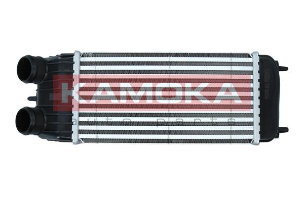 Intercooler, charger - 7750068 KAMOKA