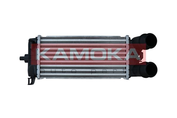 Intercooler, charger - 7750149 KAMOKA