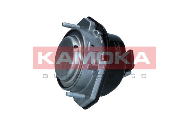 variklio montavimas - 890959 KAMOKA