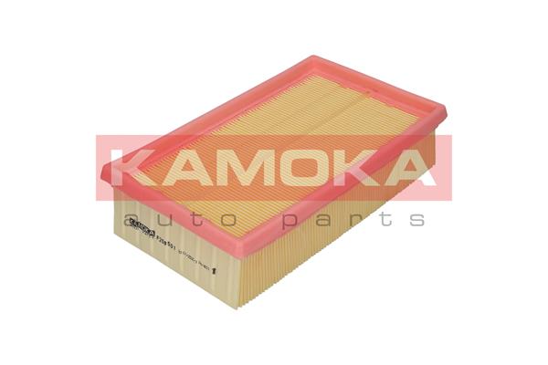 Filtro aria - F208501 KAMOKA