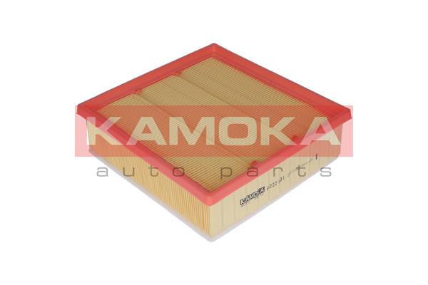 Air Filter - F222101 KAMOKA