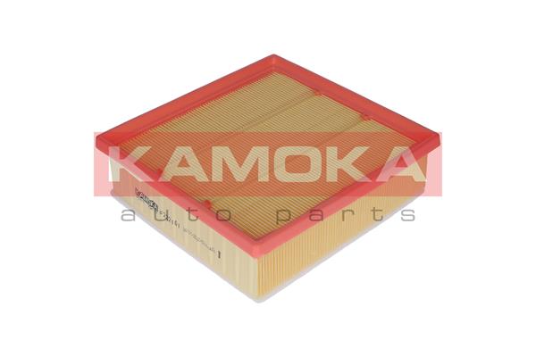 Air Filter - F222101 KAMOKA