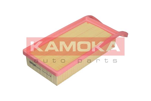 Air Filter - F223701 KAMOKA