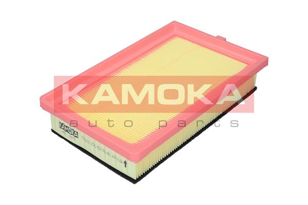 Air Filter - F243101 KAMOKA