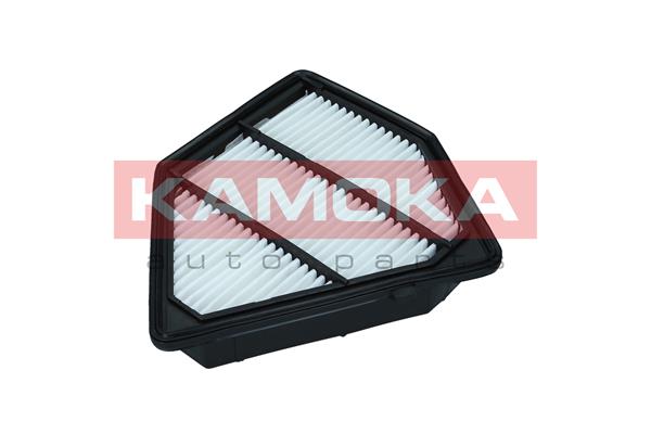 Air Filter - F245101 KAMOKA