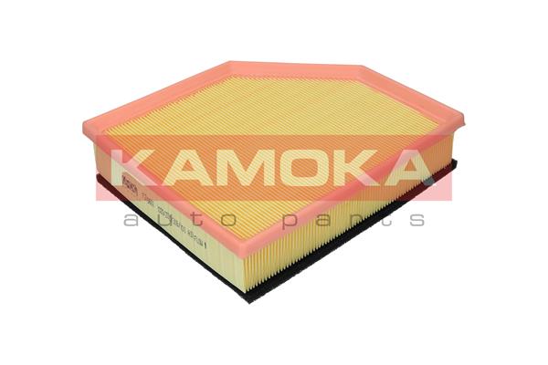 Air Filter - F249601 KAMOKA
