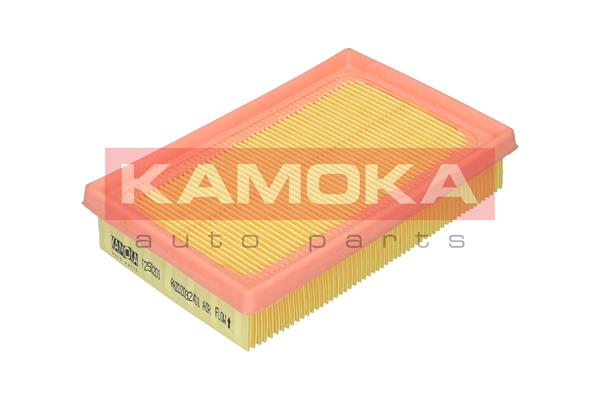 Filtro aria - F250201 KAMOKA