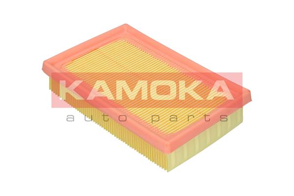 Air Filter - F250201 KAMOKA