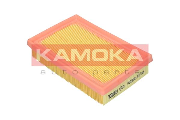Air Filter - F250201 KAMOKA