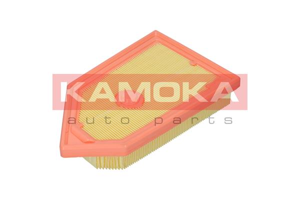 Air Filter - F254301 KAMOKA