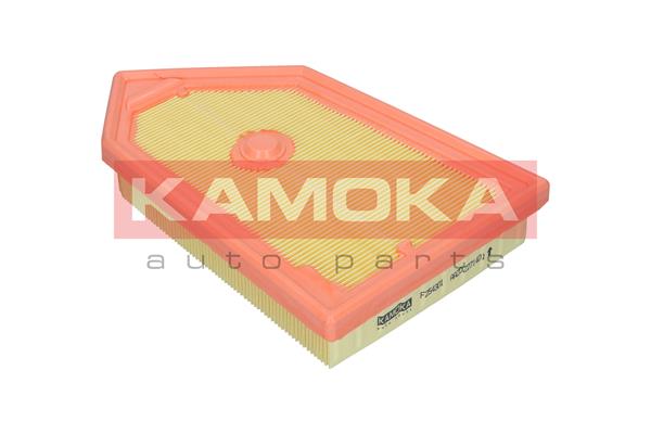 Air Filter - F254301 KAMOKA