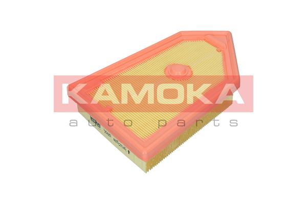 Air Filter - F254301 KAMOKA