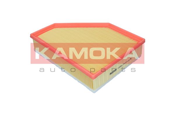 Air Filter - F255501 KAMOKA