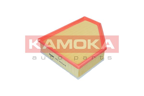 Air Filter - F255501 KAMOKA