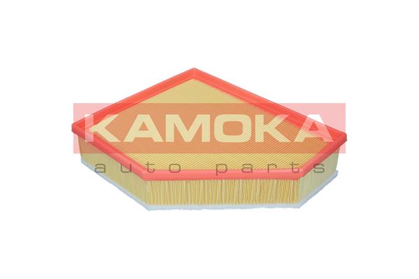 Air Filter - F255501 KAMOKA