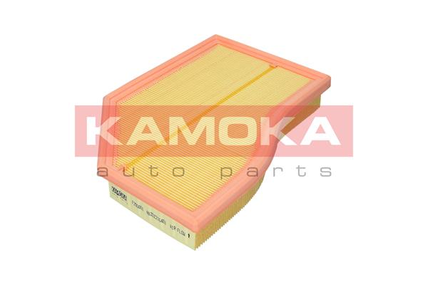 Air Filter - F255801 KAMOKA