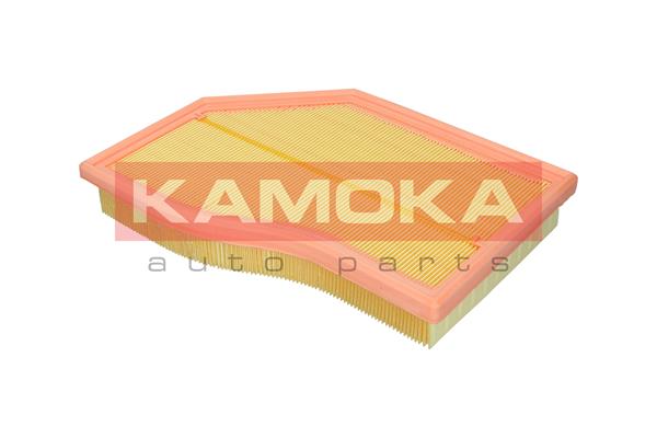 Air Filter - F255801 KAMOKA