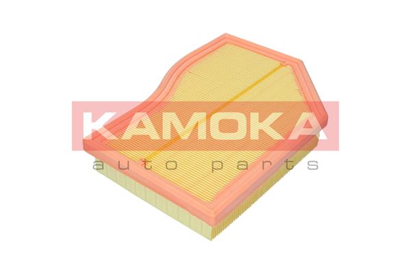 Air Filter - F255801 KAMOKA