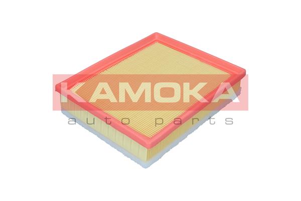 Air Filter - F256001 KAMOKA