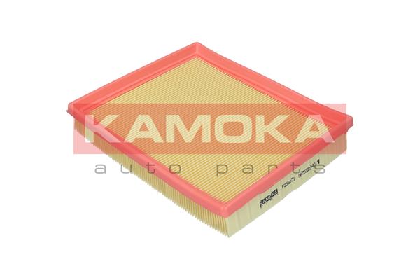 Air Filter - F256101 KAMOKA