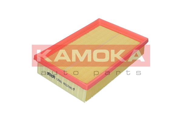 Air Filter - F256301 KAMOKA