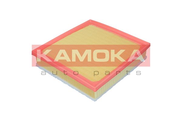 Air Filter - F257801 KAMOKA