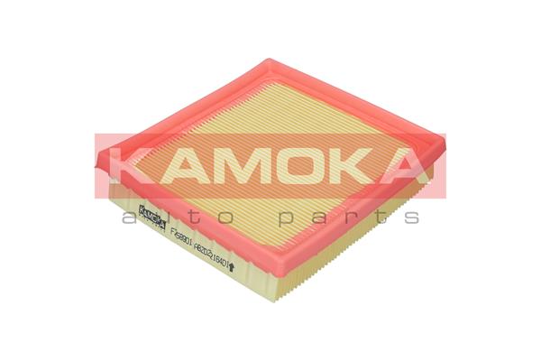 Filtro aria - F258901 KAMOKA