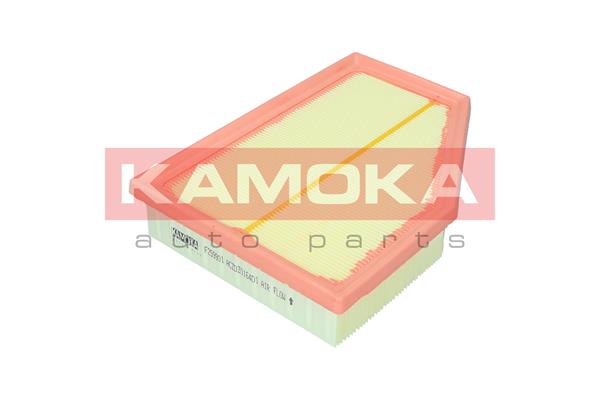 Filtro aria - F259901 KAMOKA